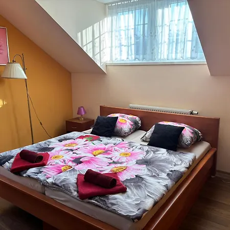Zamecek Kaliste Hotel Poddubi