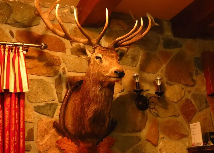 Hotel Zamecek Kaliste Poddubí